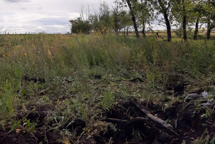 Тело своего отчима мужчина закопал в поле. Фото пресс-службы ГУ МВД России по Иркутской области