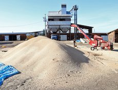 ЗАО «Иркутские семена». Идёт уборка зерновых и рапса.