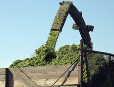 Заготовка кормов на полях ООО «Агробайкал»