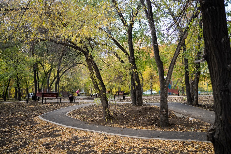 Мусор вывезли, деревья обрезали и обработали