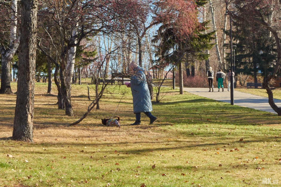 В парке следовало обустроить площадку для выгула собак