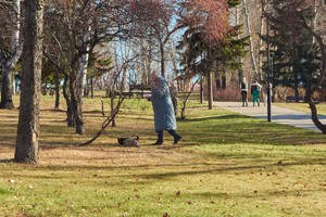 В парке следовало обустроить площадку для выгула собак