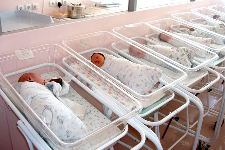 Новорожденные. Фото с сайта sibmama.ru