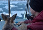 Фото Андрея и Анны Сизых