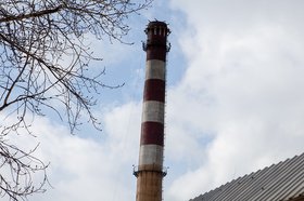Фото IRK.ru