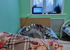 Палата в Ивано-Матренинской больницы. Фото из сообщества клиники «ВКонтакте»