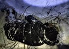 Фото пресс-службы ГУ МЧС России по Иркутской области