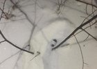 Тайник с наркотиком. Фото пресс-службы ГУ МВД России по Иркутской области