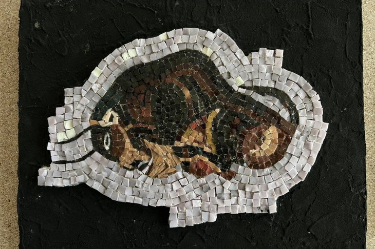 Фото организаторов