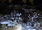 Фото пресс-службы ГУ МЧС России по Иркутской области