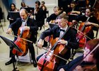 Симфонический оркестр. Фото Иркутской областной филармонии