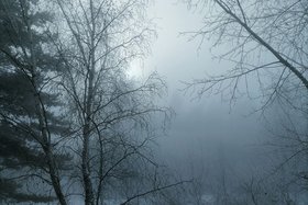 Морозный туман утром в Иркутске. Фото IRK.ru