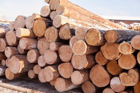 Бревна. Фото IRK.ru