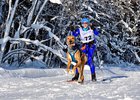 Марина Балышева, участница соревнований по ездовому спорту. Фото из сообщества «По ту сторону Иркута» «ВКонтакте»