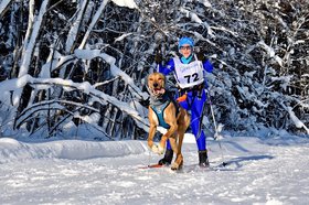 Марина Балышева, участница соревнований по ездовому спорту. Фото из сообщества «По ту сторону Иркута» «ВКонтакте»