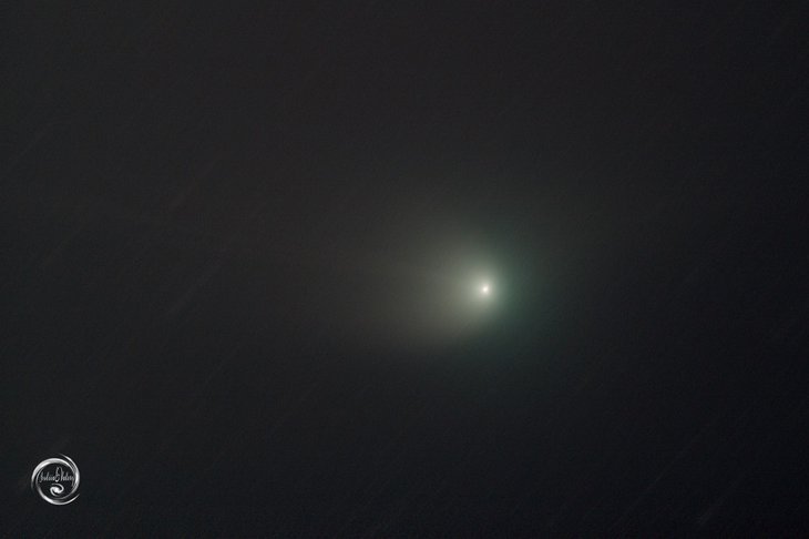 Комета C/2022 E3 (ZTF). Фото Юлии Шевцовой, Иркутское региональное астрономическое общество