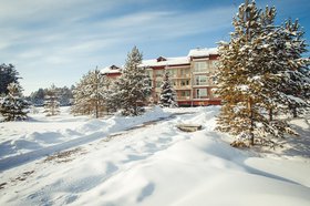 Фото с сайта adonius.club