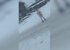 Мужчина в Бодайбо. Фото из телеграм-канала МВД38