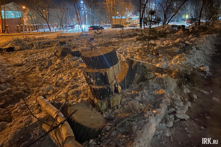Фото Анастасии Марковой