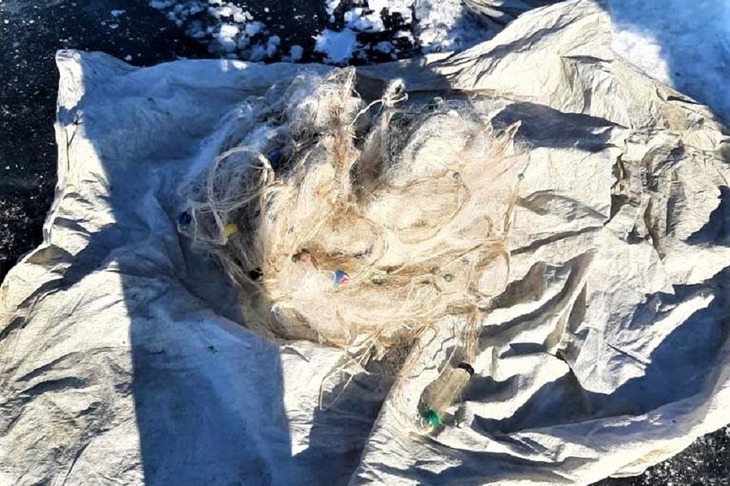 Фото ФГБУ «Заповедное Прибайкалье»