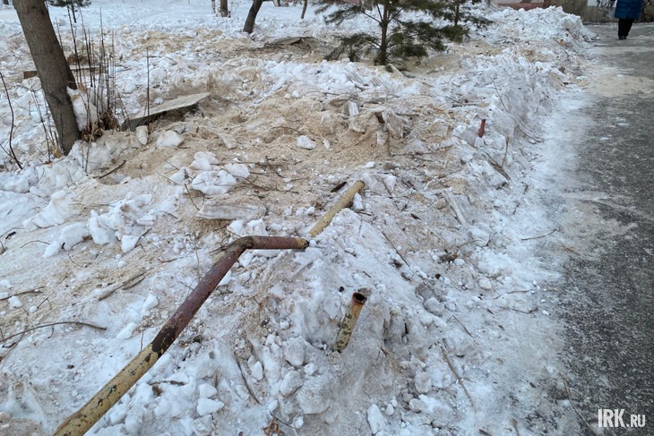 Фото Анастасии Марковой