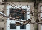 Фото IRK.ru