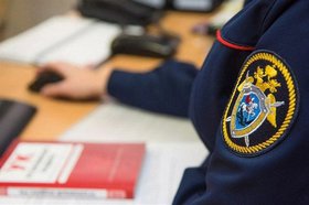Фото с сайта sledcom.ru