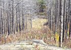 Фото пресс-службы ФГБУ «Заповедное Прибайкалье»