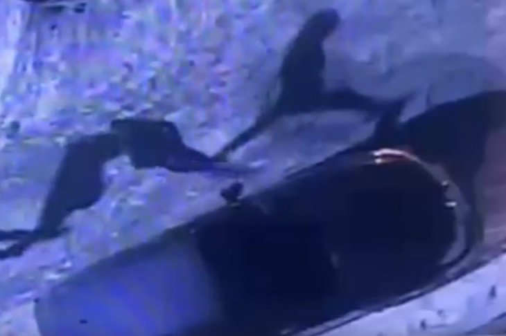 Скриншот видео пресс-службы ГУ МВД России по Иркутской области