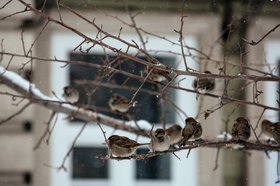 Фото IRK.ru