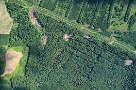 Фото yandex.ru