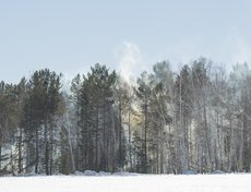 По сценарию, при патрулировании в Эхирит-Булагатском районе был обнаружен лесной пожар рядом с населённым пунктом.