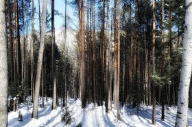 Прибайкальский нацпарк. Фото Ольги Фонарёвой, IRK.ru