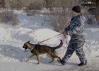 Кинолог Наталья Толстых. Скриншот из фильма «Русские. XXI век»