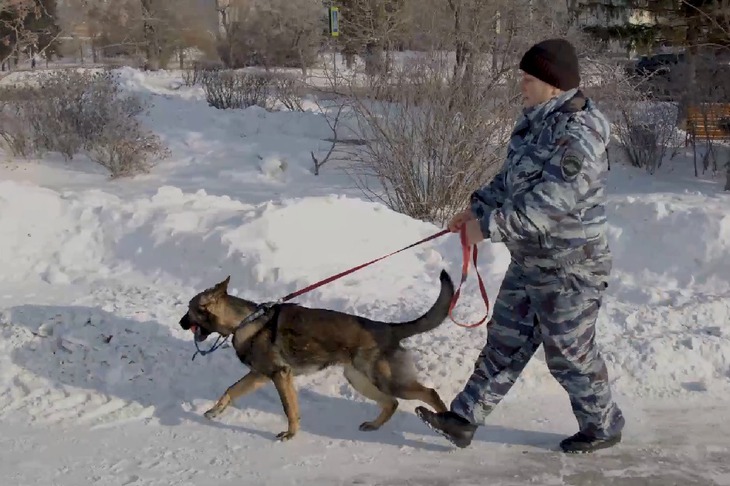 Кинолог Наталья Толстых. Скриншот из фильма «Русские. XXI век»