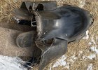 Седло. Фото пресс-службы ГУ МВД России по Иркутской области