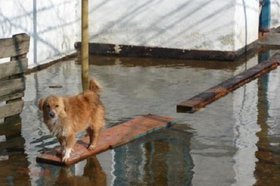 Фото пресс-службы ГУ МЧС России по Иркутской области