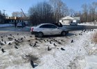 Фото пресс-службы ГУ МВД России по Иркутской области