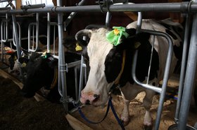 Фото с сайта правительства Иркутской области