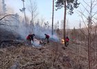 Тушение пожаров. Фото пресс-службы правительства Иркутской области