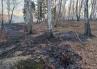 Фото пресс-службы правительства Иркутской области