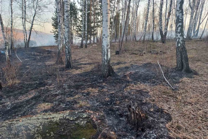 Фото пресс-службы правительства Иркутской области