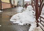 Снег в Иркутске. Фото Маргариты Романовой, IRK.ru