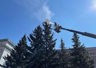 Сотрудники Горзеленхоза моют деревья. Фото пресс-службы администрации Иркутска