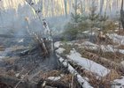 Пожар в лесу. Фото пресс-службы правительства Иркутской области