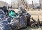 Участники субботника собрали 1,5 тысячи тонн мусора. Фото Маргариты Романовой, IRK.ru