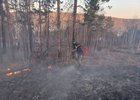 Возгорание в лесу. Фото с сайта правительства Иркутской области