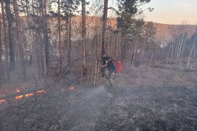 Возгорание в лесу. Фото с сайта правительства Иркутской области