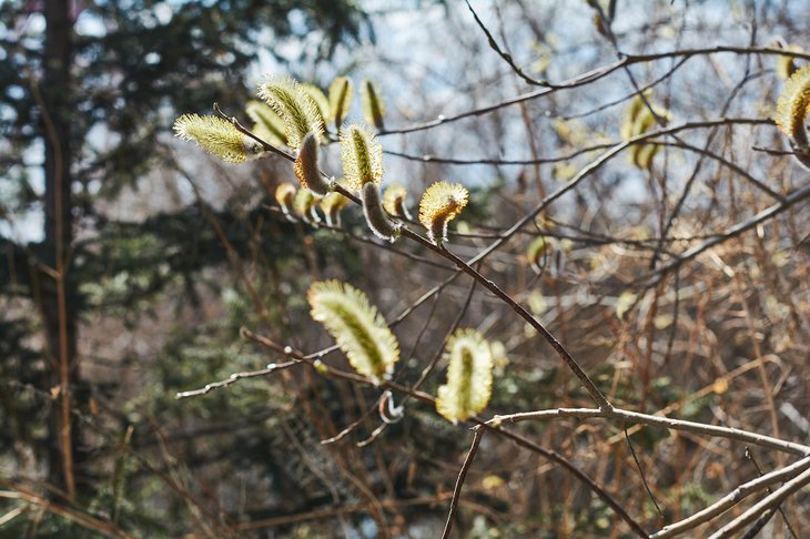 Фото IRK.ru