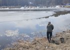 Рыбу с поверхности воды собрали сачками. Фото предоставлено главой Ушаковского МО Сергеем Сайфулиным